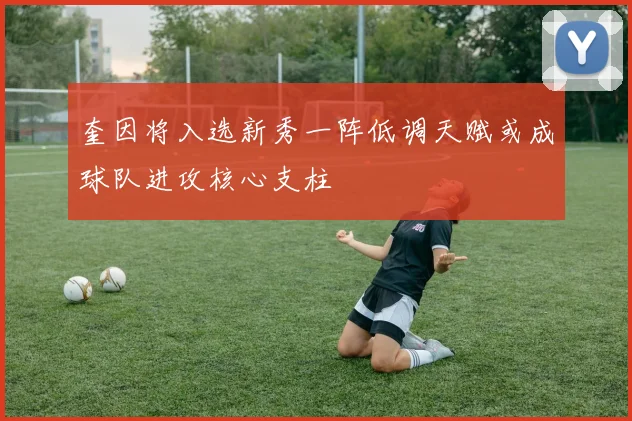 奎因将入选新秀一阵低调天赋或成球队进攻核心支柱
