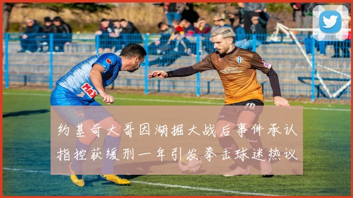 约基奇大哥因湖掘大战后事件承认指控获缓刑一年引发拳击球迷热议